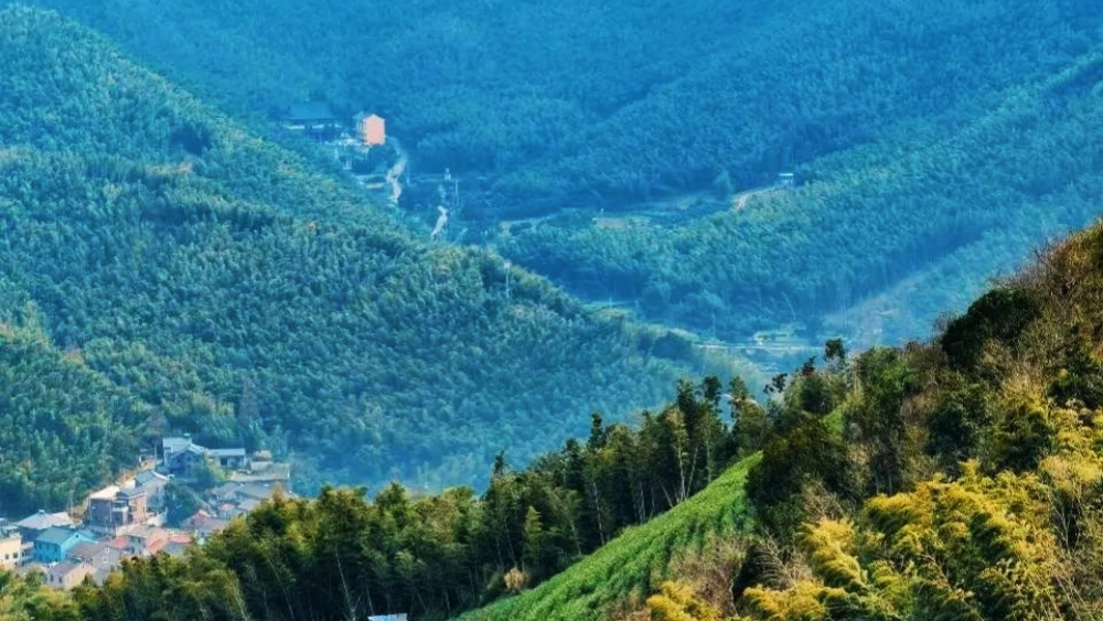 慈溪秘境·青峰古道｜轻徒慈溪绿野仙踪！