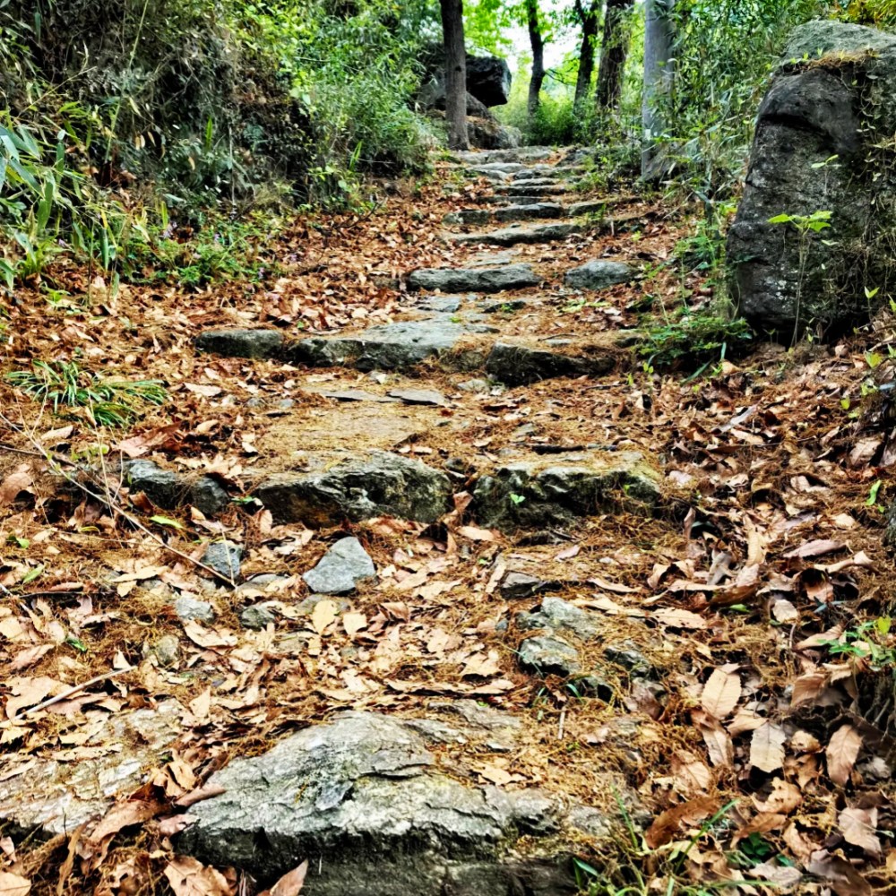 慈溪秘境·青峰古道|轻徒慈溪绿野仙踪!