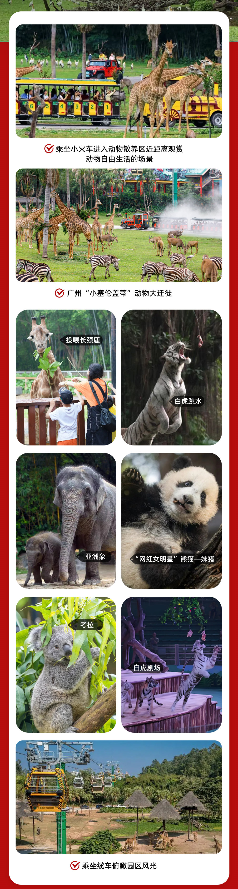 亲子·长隆双园汇5日| 畅玩广州珠海长隆主题乐园 - 广州集合 | 祖庙看醒狮 | 佛山咏春体验 | 广州塔一票畅玩丨长隆野生动物世界 | 珠海长隆海洋王国