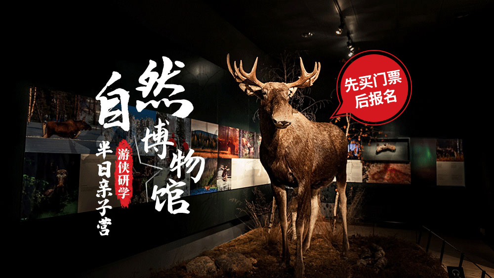 游侠研学·自然博物馆|追溯真正的生物进化史