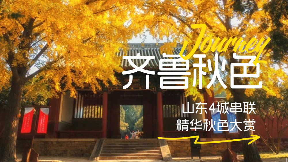 齐鲁秋色精华 | 小众秋行，5天4晚，济南集散