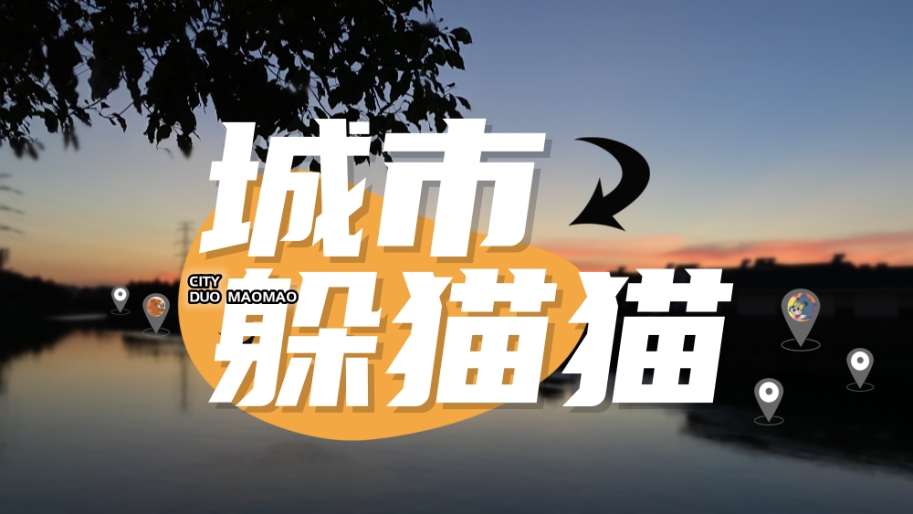 金陵鼠王/猫王争夺战丨玄武湖公园猫鼠游戏