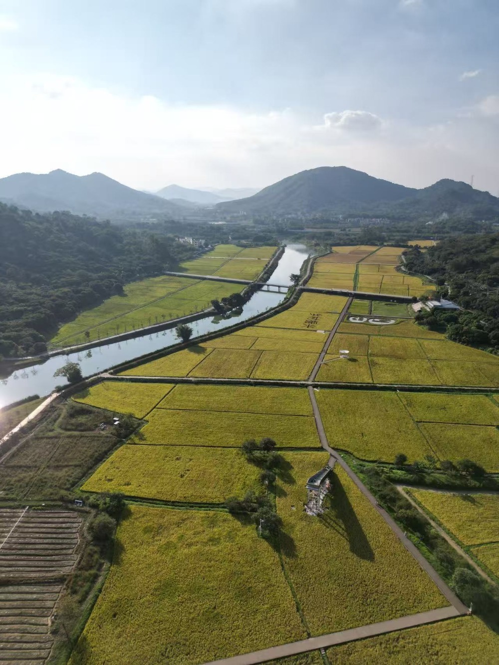 流溪河·桨板·皮划艇丨夏日玩水,喜遇艾米稻香小镇