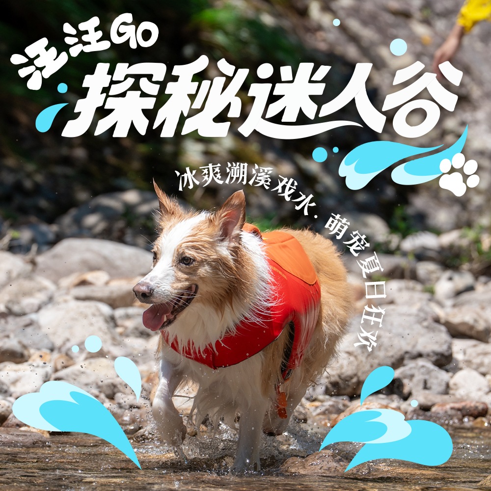 汪汪GO·探秘迷人谷｜冰爽溯溪戏水，萌宠夏日狂欢