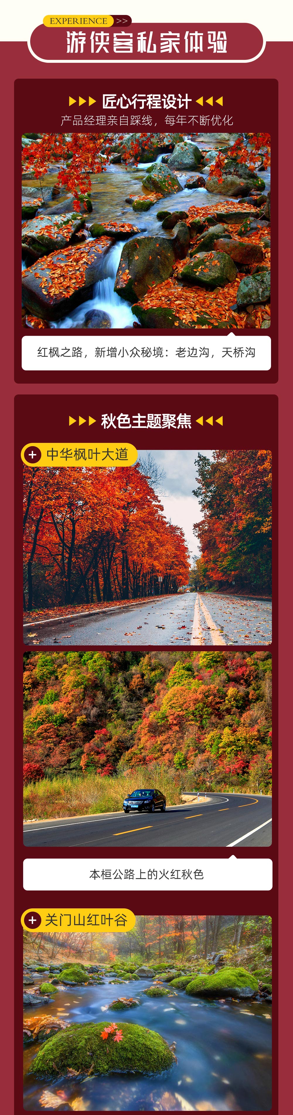 东北秋摄丨大连海岸线+辽东红叶谷，精华环线7日 - 盘锦红海滩丨关门山红枫丨老边沟彩林丨天桥沟红叶谷丨中华枫叶大道丨星海湾大桥日出丨网红排石村丨西湖咀将军石丨海岸线慢门教学
