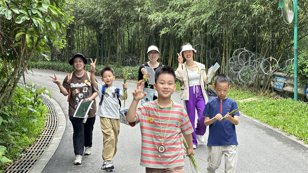 亲子·西樵古韵2日丨徒步探秘西樵山,清凉溯溪闯关