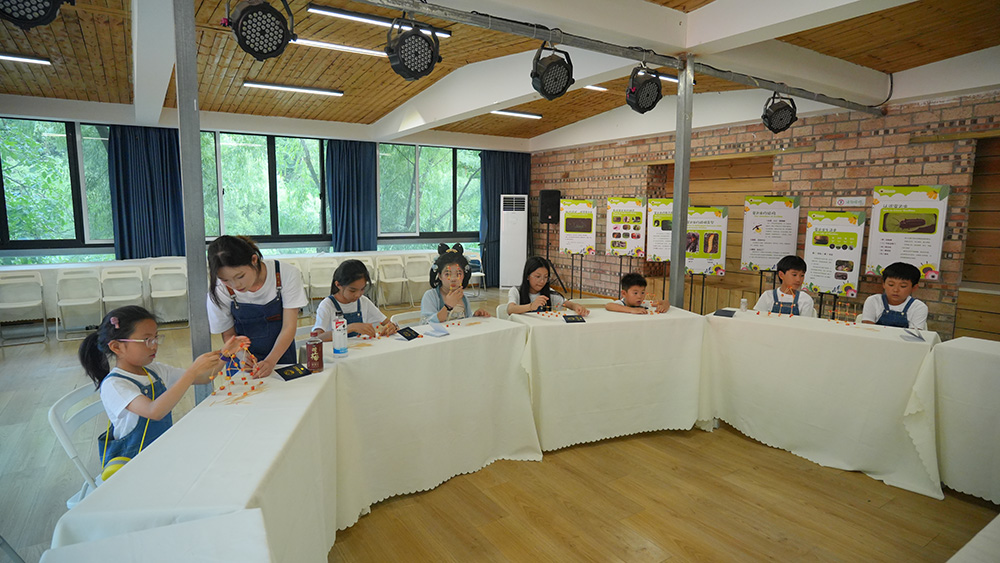 树屋建造营·亲手搭建梦想树屋,两天一夜亲子营