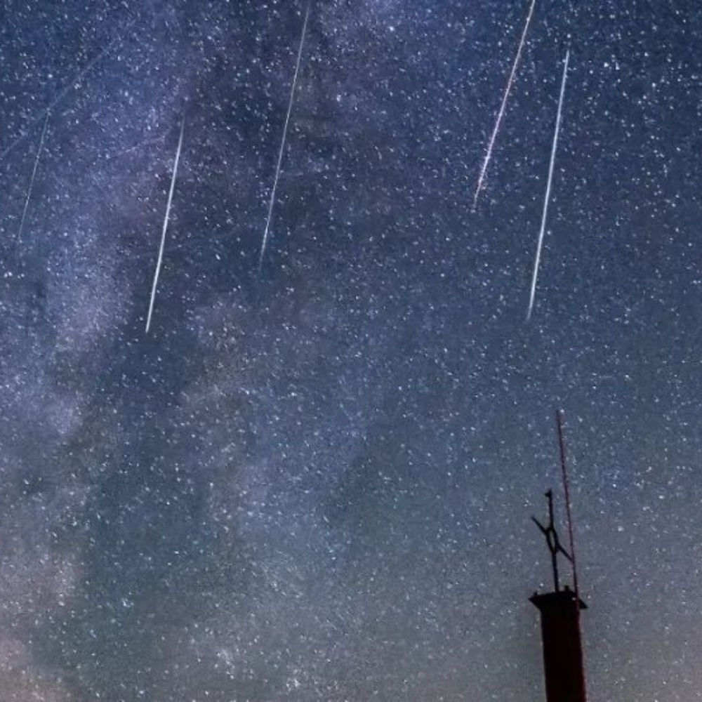 汪汪GO·星空夜语｜崇明岛追流星，携宠露营观星