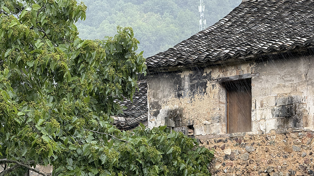 宝藏小城·浦江嵩溪丨溯暗溪纳清凉，黑悟空龙德寺塔
