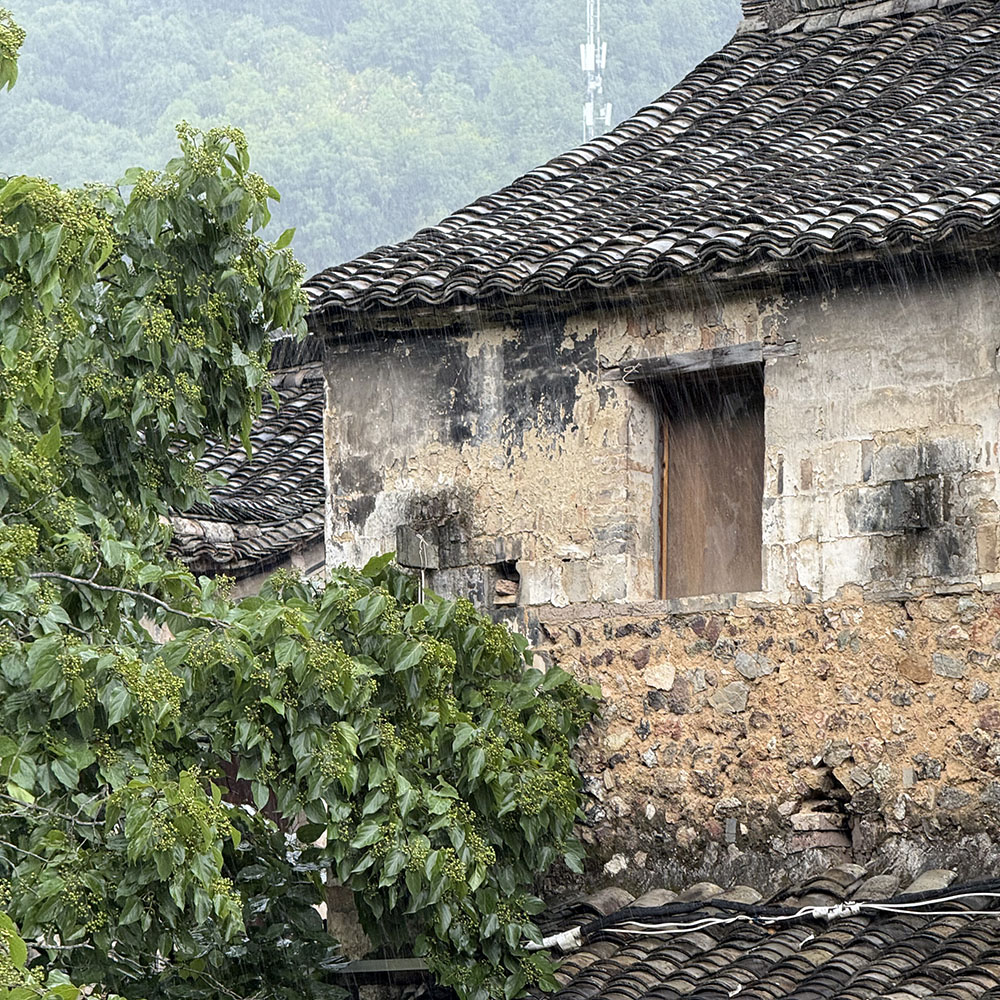 宝藏小城·浦江嵩溪 | 溯暗溪纳清凉,黑悟空龙德寺塔