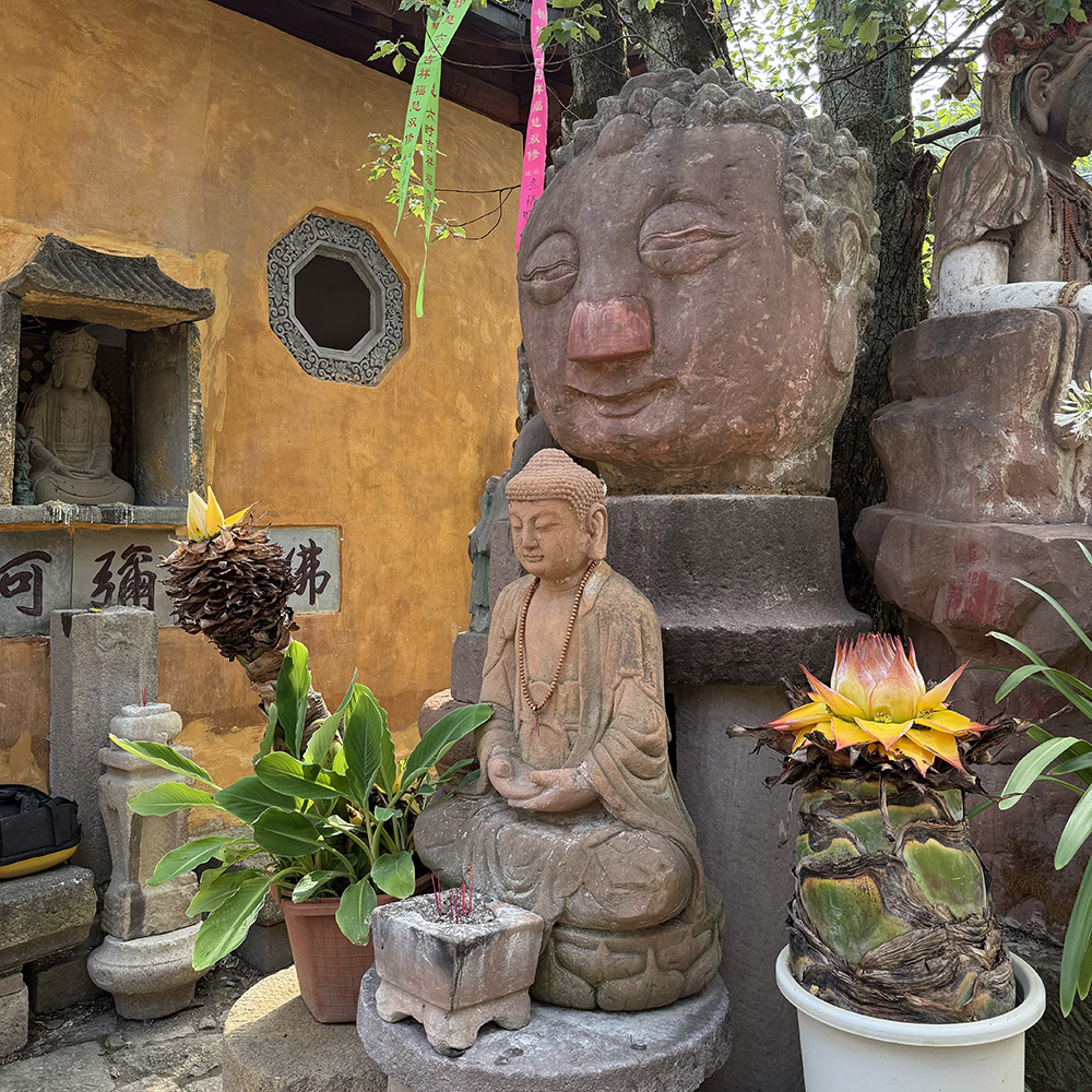 宝藏小城·浦江嵩溪 | 溯暗溪纳清凉,黑悟空龙德寺塔