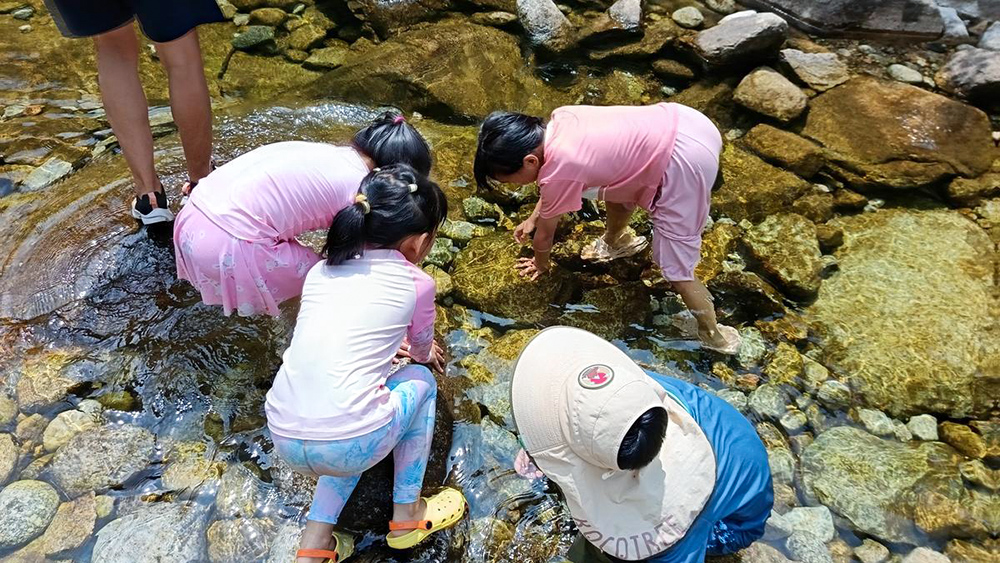 赛峪溯溪·夏日轻徒步,溯溪越河谷,亲子&独立营