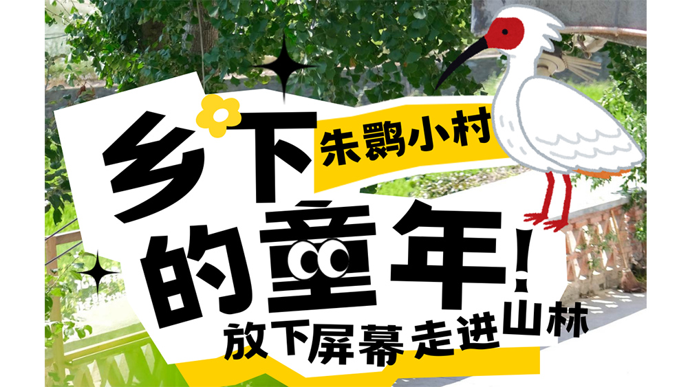 朱鹮小村·田野里的自由快乐，滋养孩子，疗愈自己