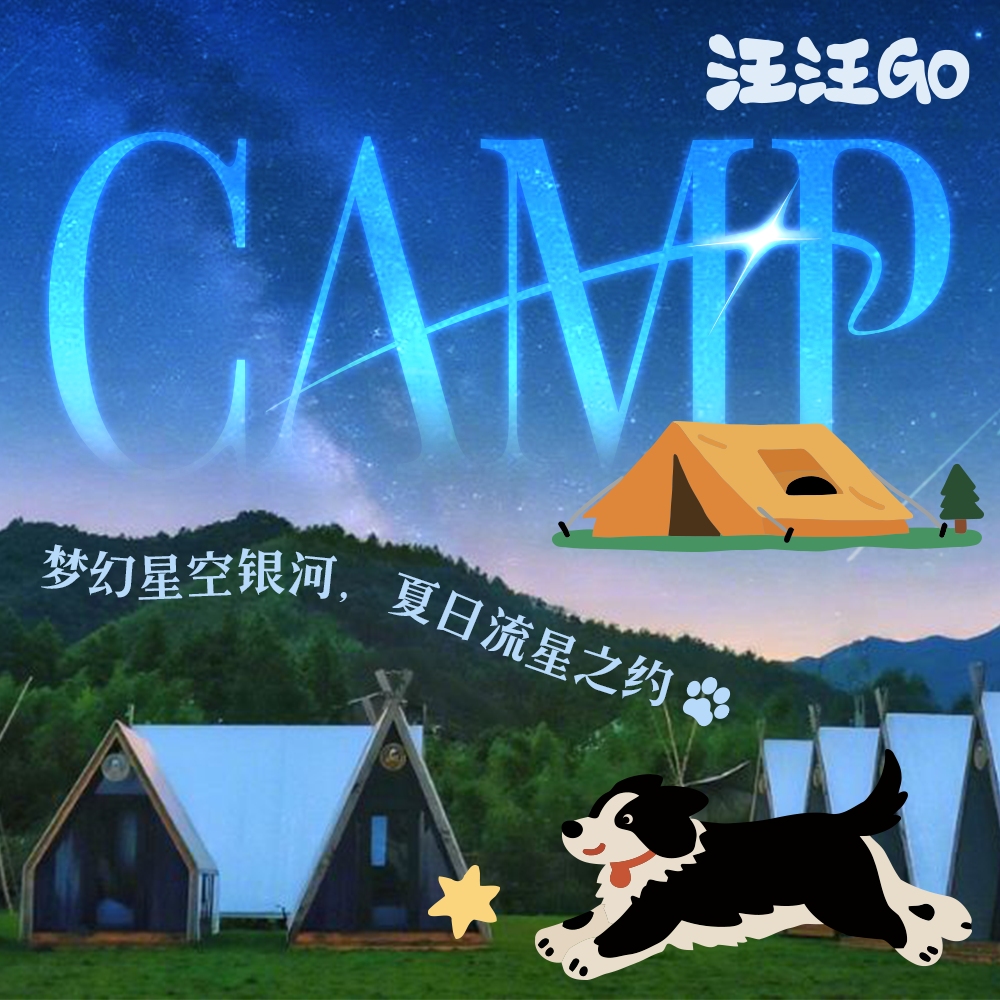 汪汪GO·CAMP｜梦幻星空银河，夏日流星之约