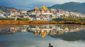 香格里拉格冬节|云南雪山秘境,羌姆舞盛会6日