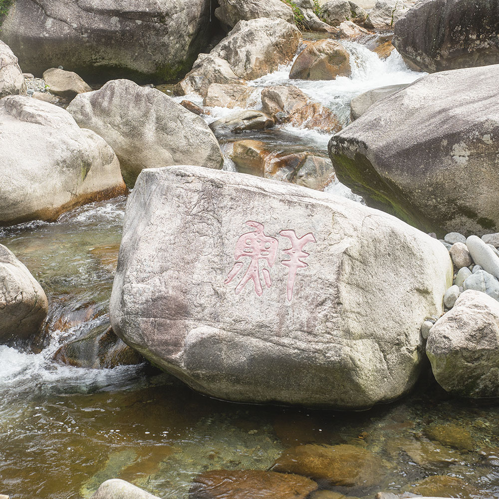 峡谷清涧·鱼羊谷 | 华东一级水质，瀑布高悬深潭密布