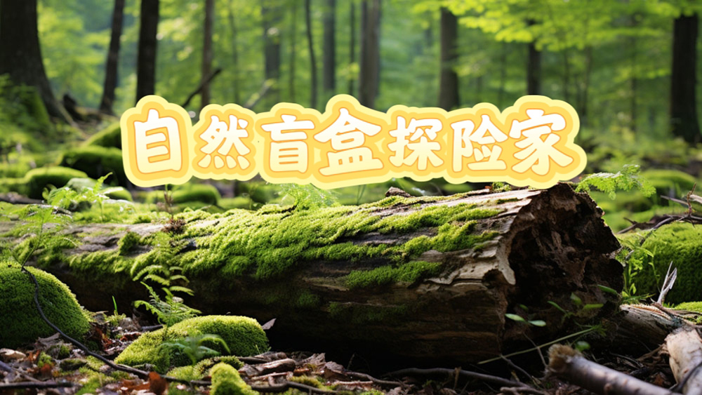 自然盲盒探险家·老带新重磅福利！亲子户外自驾半日