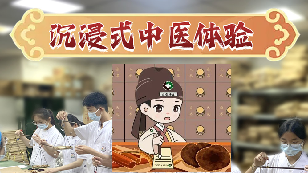 小小中医·多感官探秘中药世界，认识身边的中药