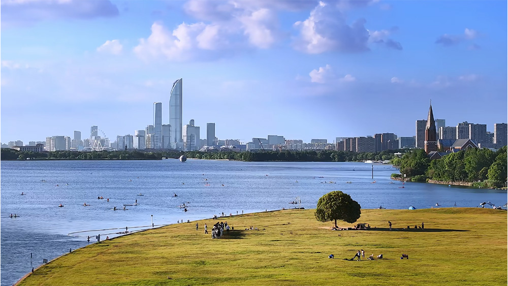 独墅湖・桨板 | 一棵树旁，水杉教堂与夕阳！