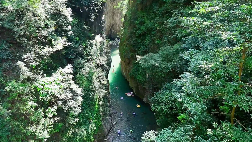 溯溪·鲤鱼河│清凉峡谷，优良水质，玩转夏日