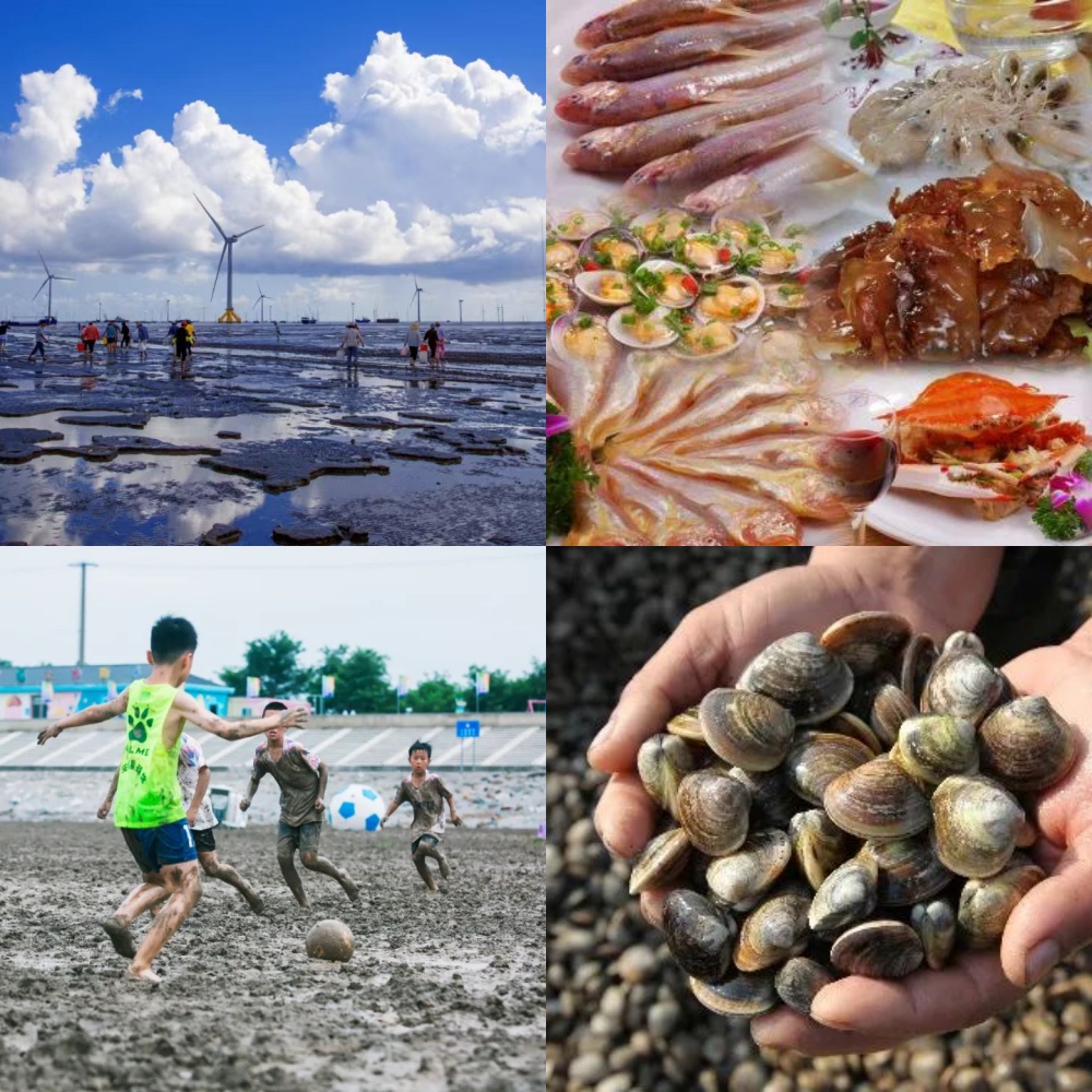 南通如东2日 | 住温泉酒店，赶海踩蛤蜊，逛河豚之乡