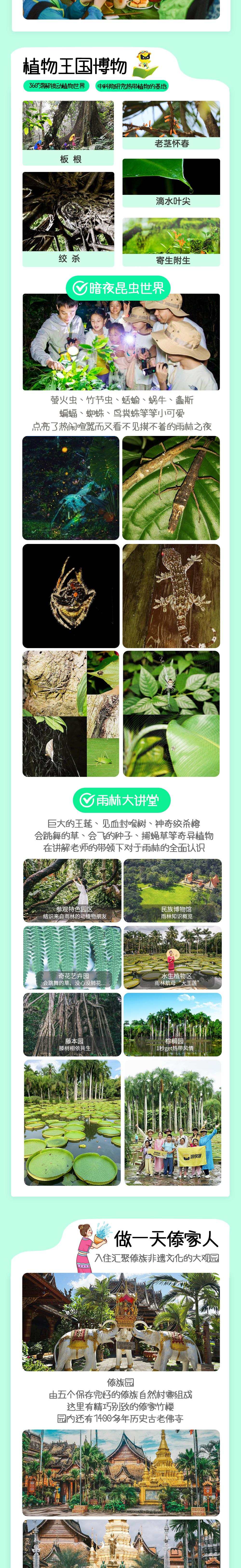 亲子·西双版纳5/7日 | 雨林10+体验，1日跟拍 - 适合3岁+儿童 | 云南中科院植物园（含夜游） | 傣族园泼水节 | 野象谷牧象 | 热带雨林攀树溯溪 | 7日套餐含普洱小熊猫庄园和景迈山