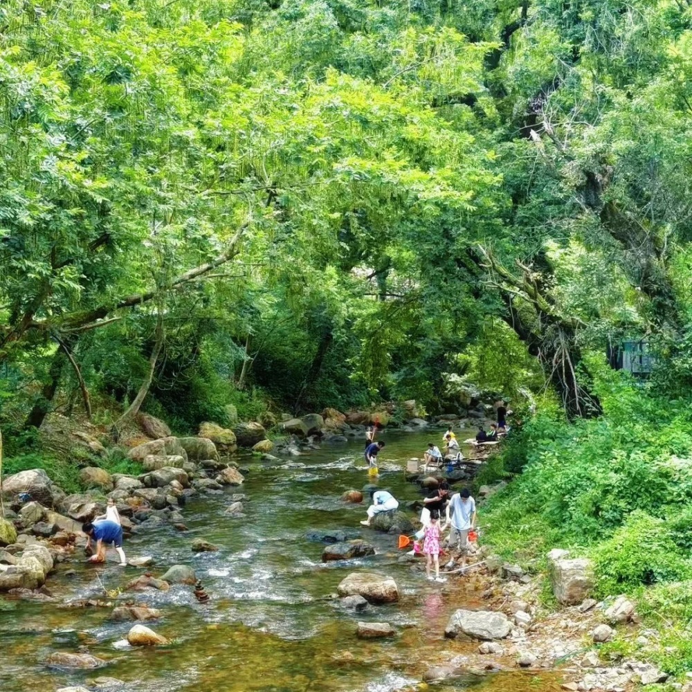 安吉·溯溪漂流1日 | 天然树荫，遮荫溯溪，亲子漂流