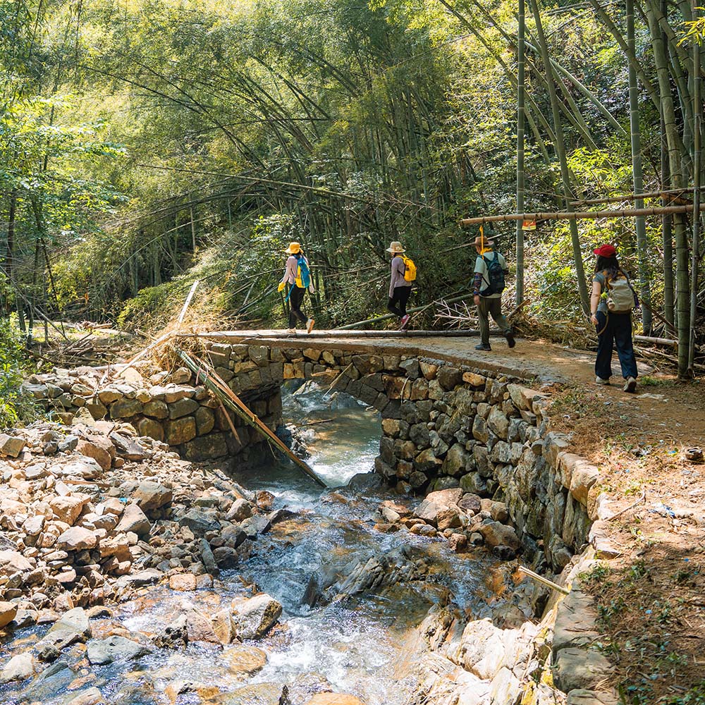 竹溪古径·上王岗｜余姚竹隐古道，苔藓、瀑布与溪流