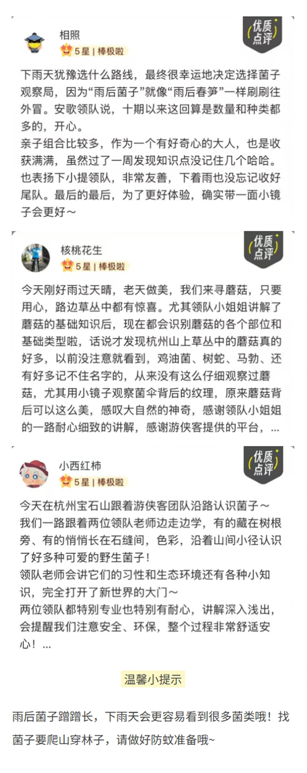 菌子观察局 | 杭州城区菌子观察，西湖群山轻徒步 - 半日轻徒步+野生菌科普 | 倡导生态保护，敬畏自然，不采摘野生菌 | 西湖群山不同路线观察杭州野生菌生态 | 游侠客菌子领队带领