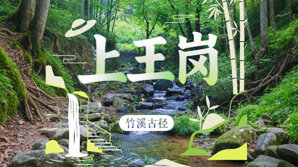 竹溪古径·上王岗｜余姚竹隐古道，苔藓、瀑布与溪流