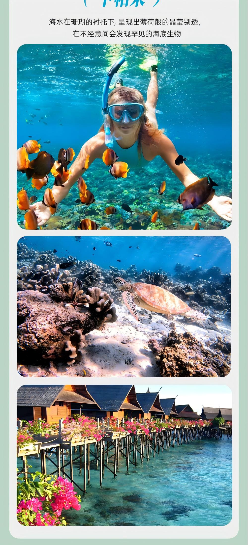 马来西亚·漫游仙本那 | 潜入风下之乡的梦幻蔚蓝 - 免签丝滑入境 | 吉隆坡&沙巴两地集合 | 马六甲南洋人文探索 | 打卡特色娘惹餐 | 寻找珍贵长鼻猴 | 红树林萤火虫夜游 | 两日跳岛浮潜