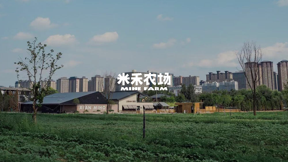米禾农场·高粱熟了