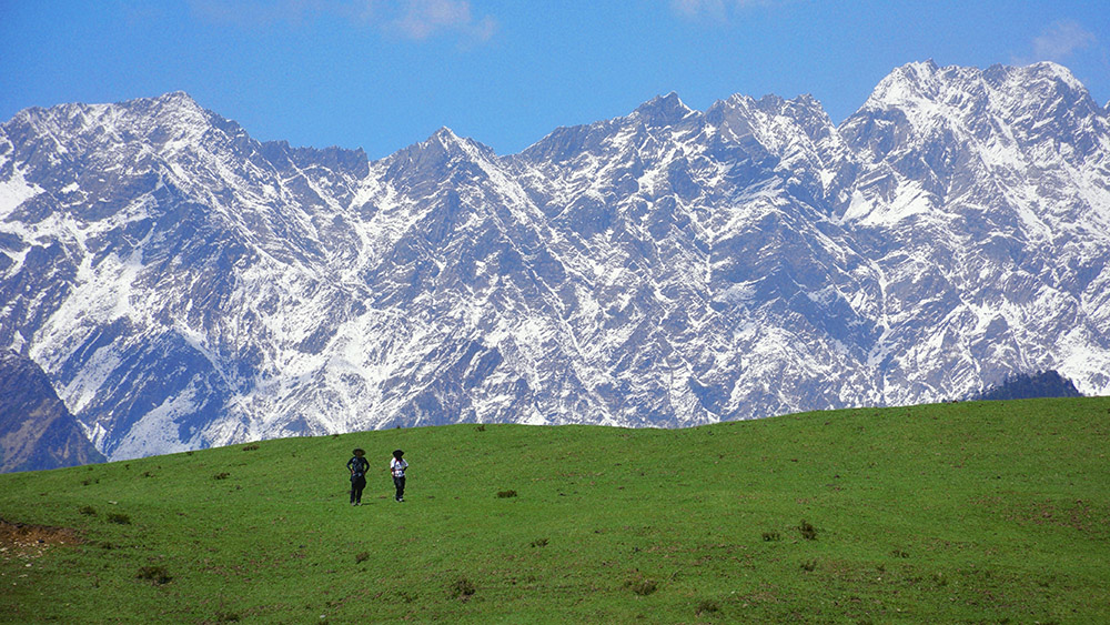 轻徒避暑·云中岭│20°的夏天，轻徒步高山牧场