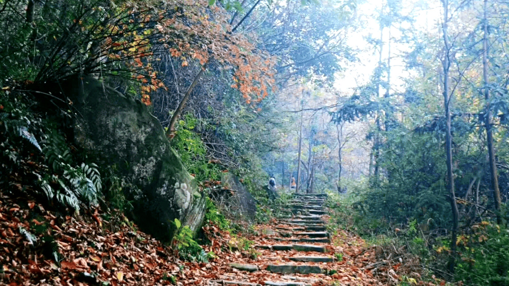 疾速追山·箬岭古道 | 走千年古道，入水墨仙境
