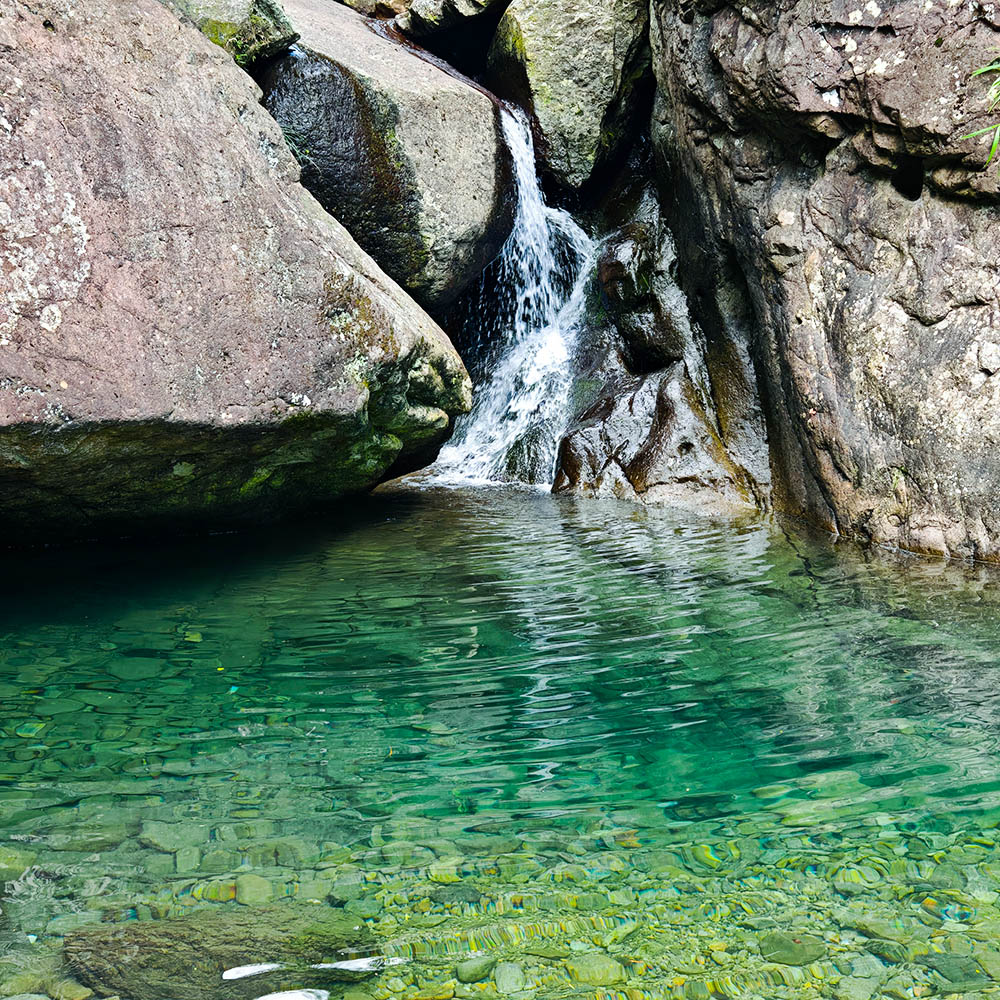 富阳小雁荡·野猫岭古道 | 黄弹村水潭溪流，森林避暑