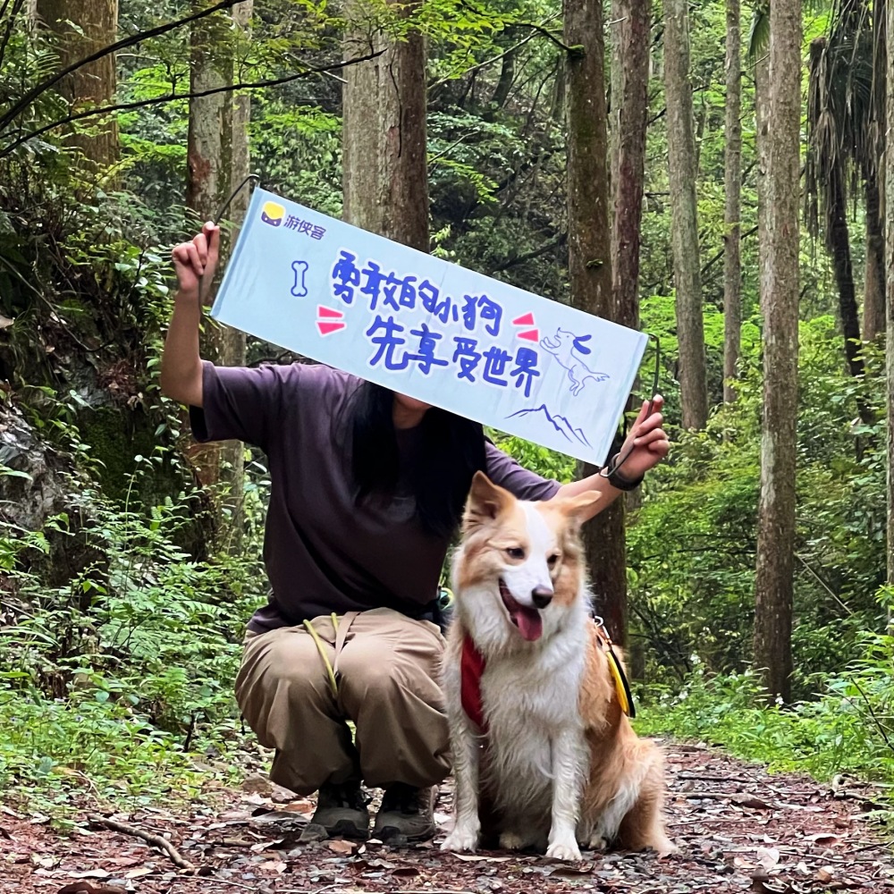 汪汪GO·野趣千岛湖｜牧心谷徒步，畅玩湖光山色