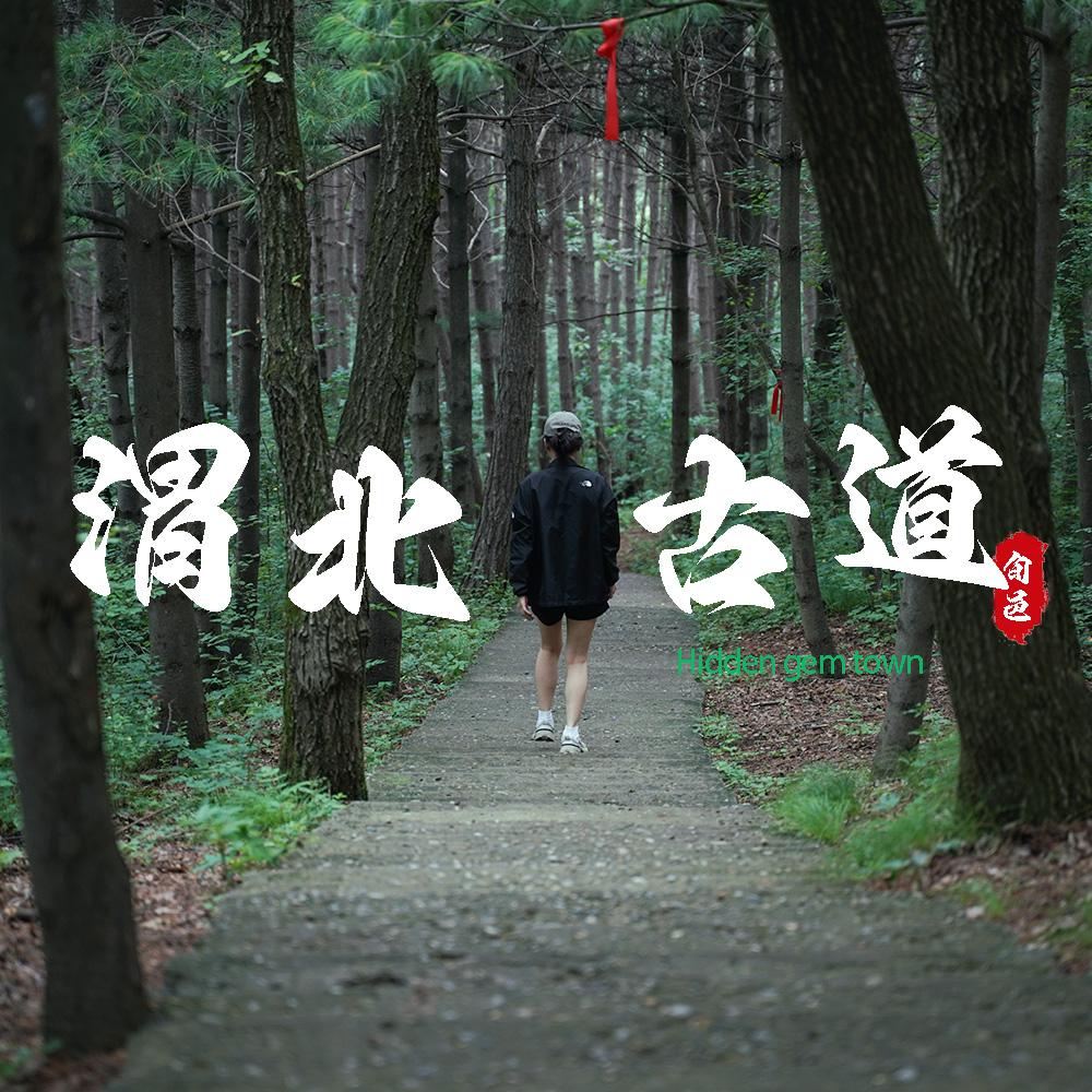 宝藏小城·旬邑直道 | 步入森林古道迷境，寻丹霞石窟