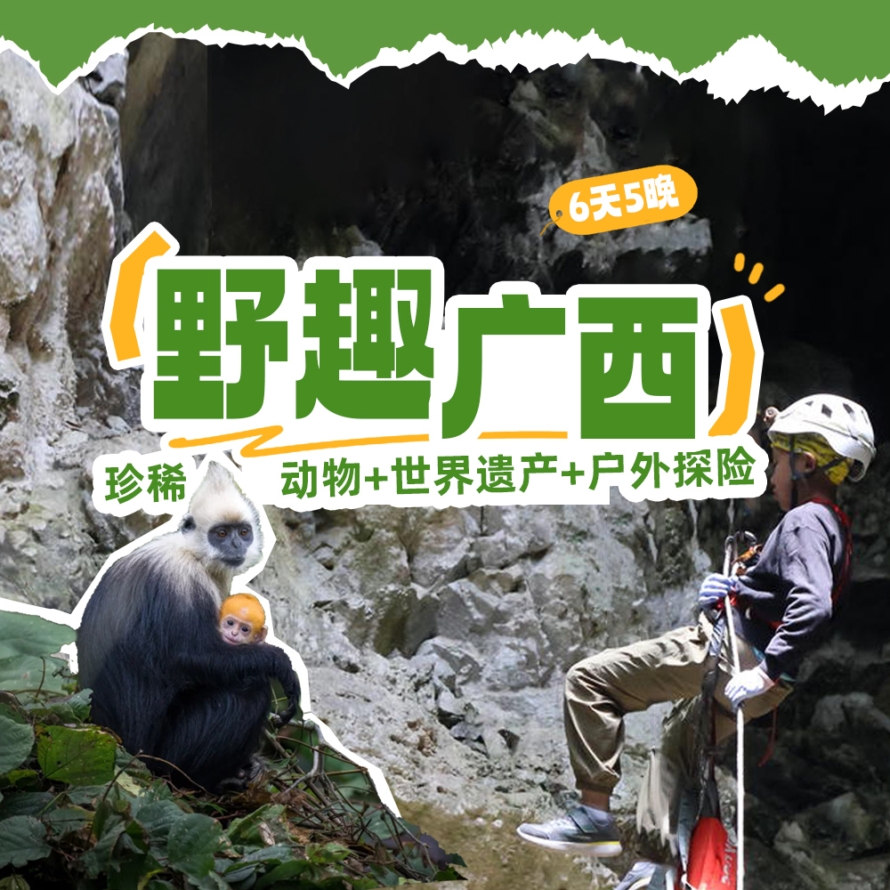 亲子·野趣广西6日 | 边境喀斯特，动物自然探索