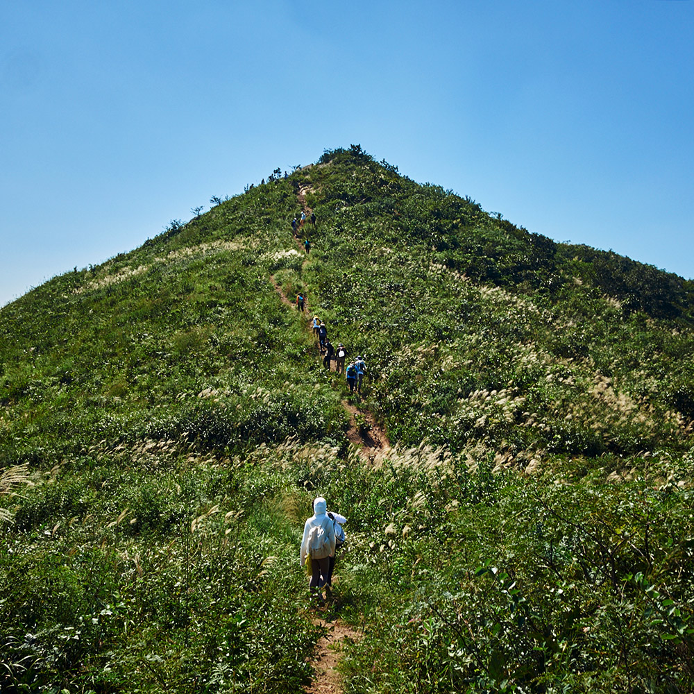 华东小武功山·九连尖 | 罕见山巅草甸，恍若云中草原