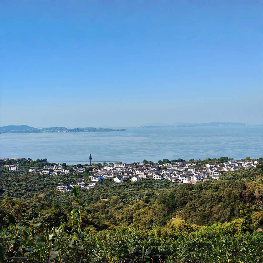 太湖徒步·莫厘听涛｜登顶东山莫厘峰，探访陆巷古村