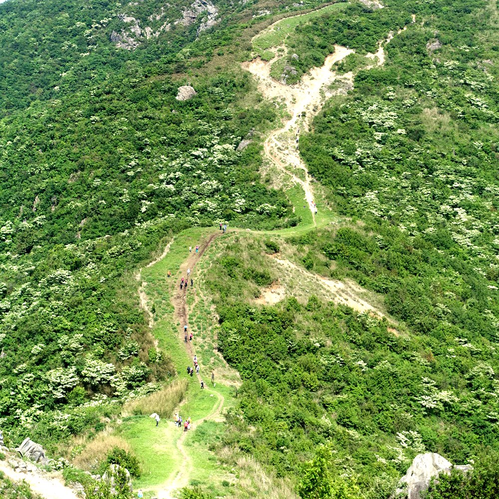 皖南武功山·铁匠山+黑洞瀑布群 | 走网红防火道