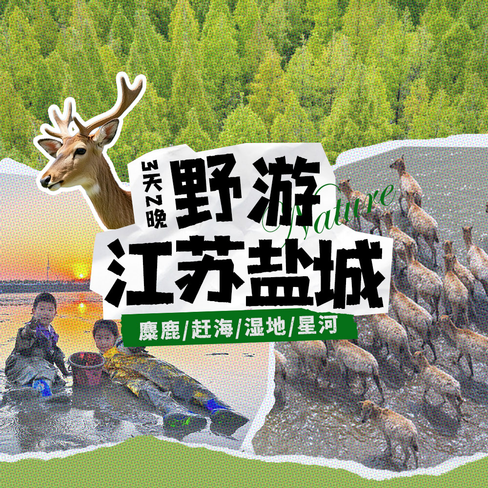 亲子·野游盐城 | 皮划艇寻麋鹿，趣赶海，住英伦酒店