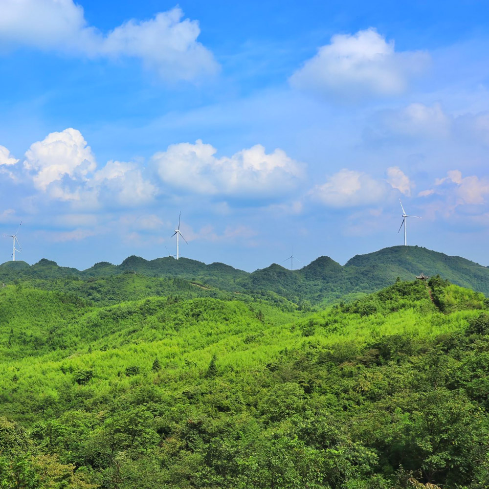 山海·神鹰山│清凉徒步·林海风车·入门换氧