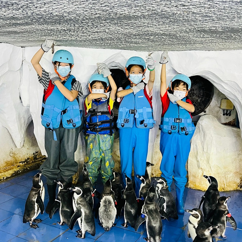 小小企鹅饲养员 | 8-10月太平洋海底世界