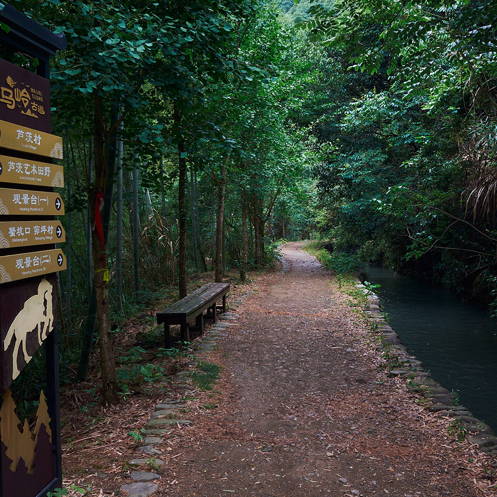 诗画富春江·马岭古道 | 富春山居图，桐庐绿道！