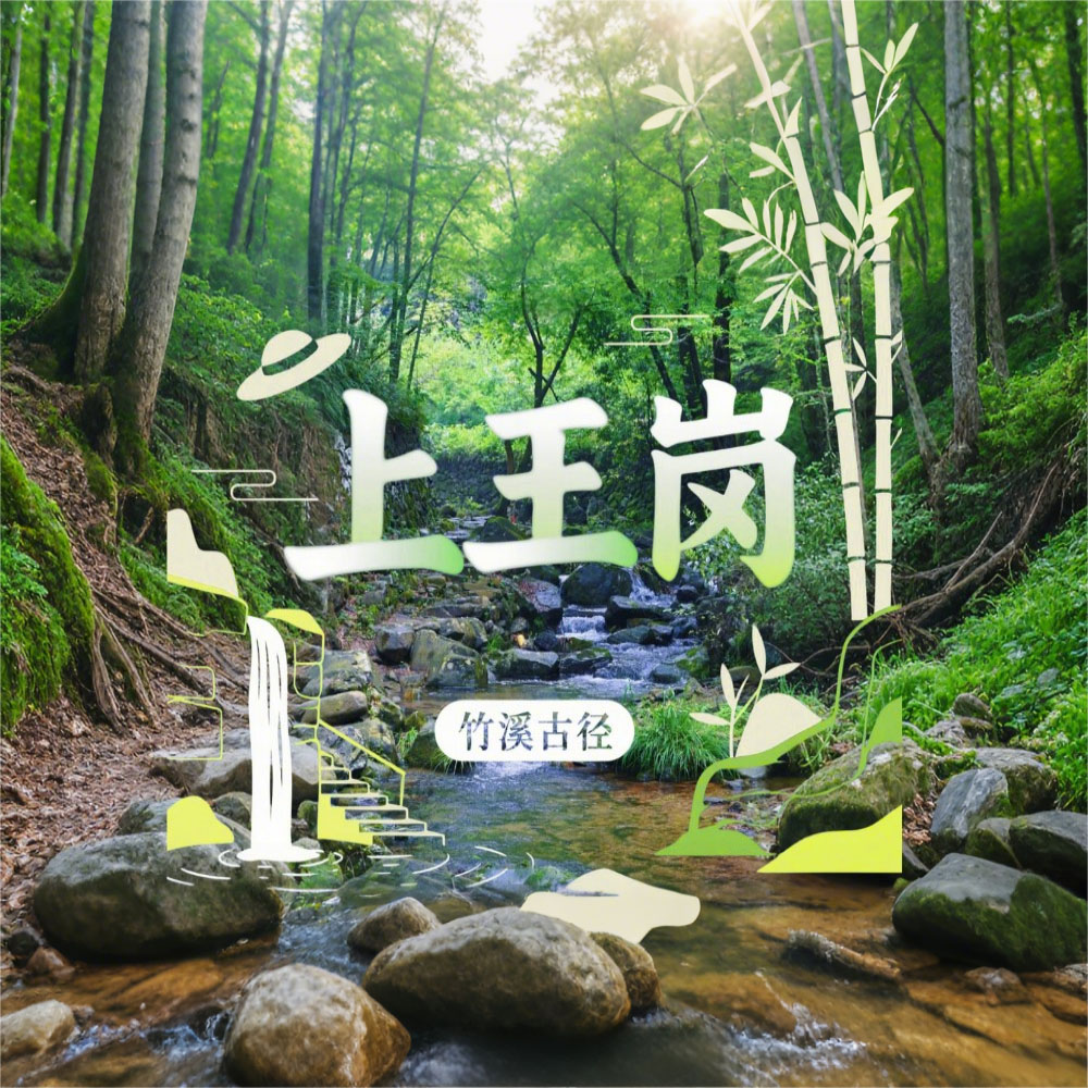 竹溪古径·上王岗｜余姚竹隐古道，苔藓、瀑布与溪流
