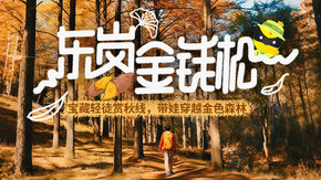 亲子·东岗金钱松 | 邂逅金钱松秘境,农场寻秋滋味