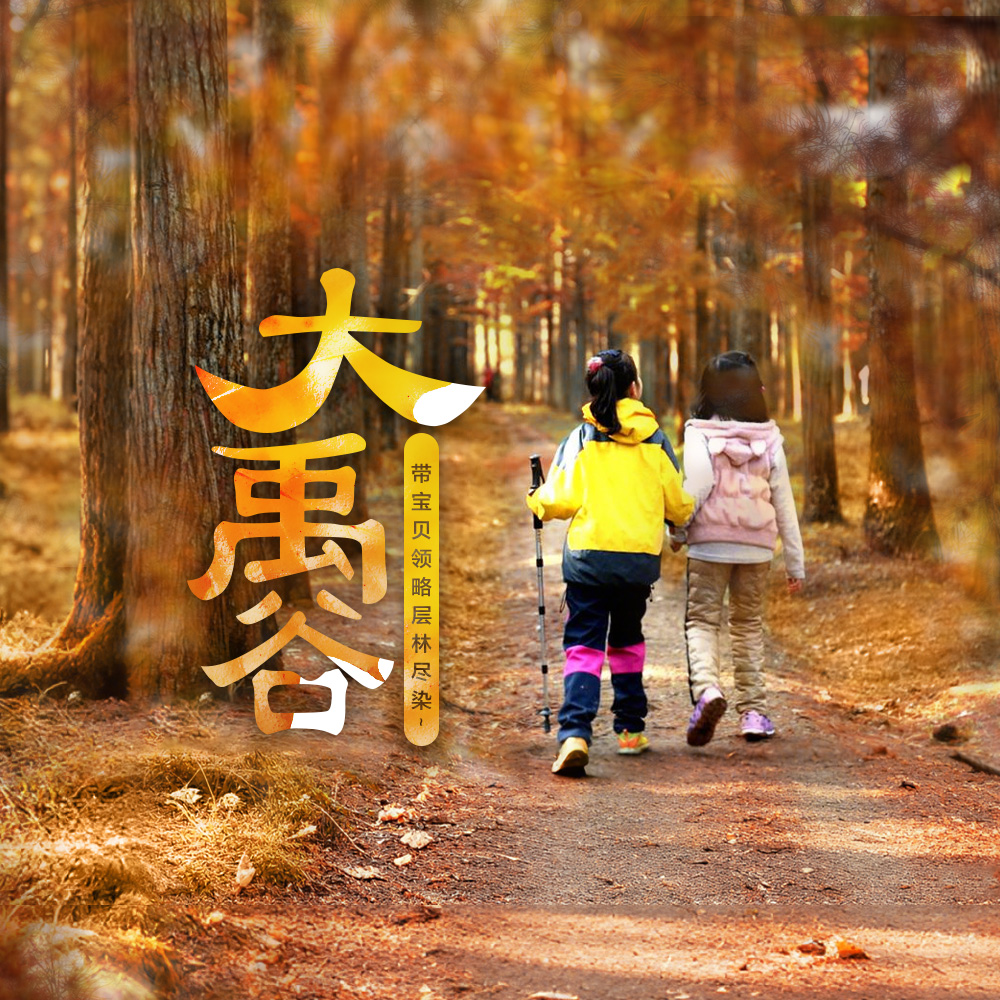 亲子·大禹谷秋戏 | 单日经典赏秋徒步，拥抱红杉枫香