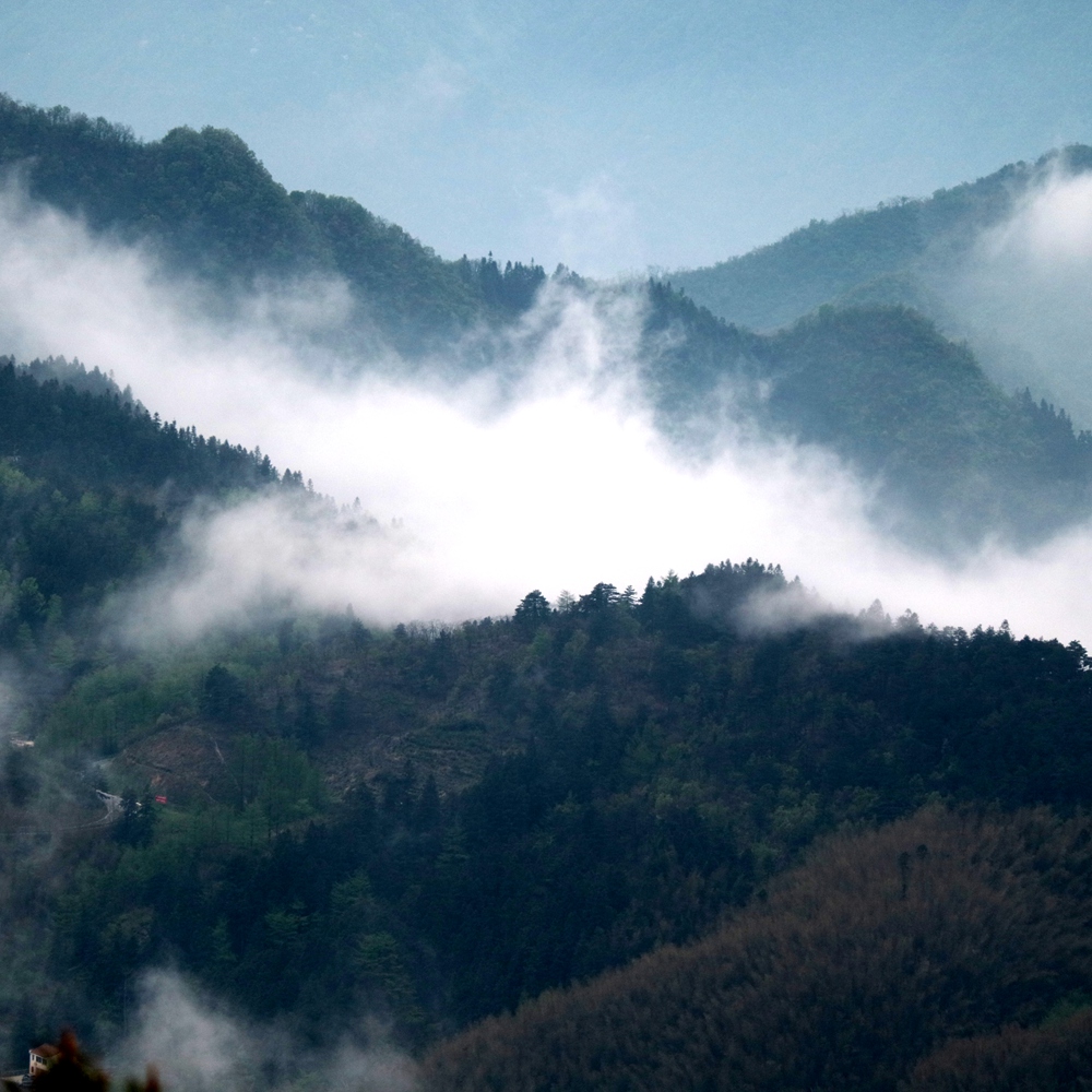 征途·九华山 | 打鼓岭奇峰险胜 登花台极目远眺