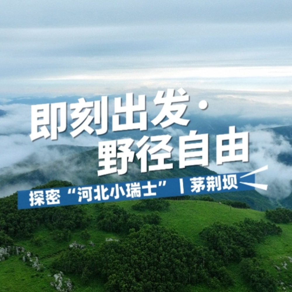 超级周末 | 大青山大裂谷，茅荆坝国家森林公园3日